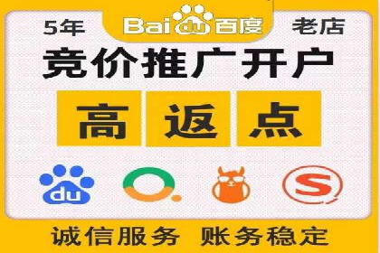 百度推广全攻略：成功案例剖析
